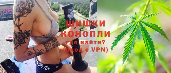 дмт Верея